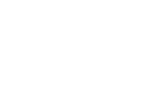 CAVPA logo in white