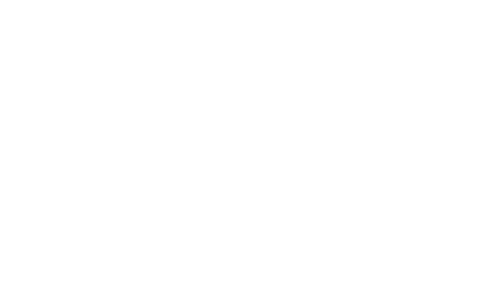 Destination Toronto logo in white